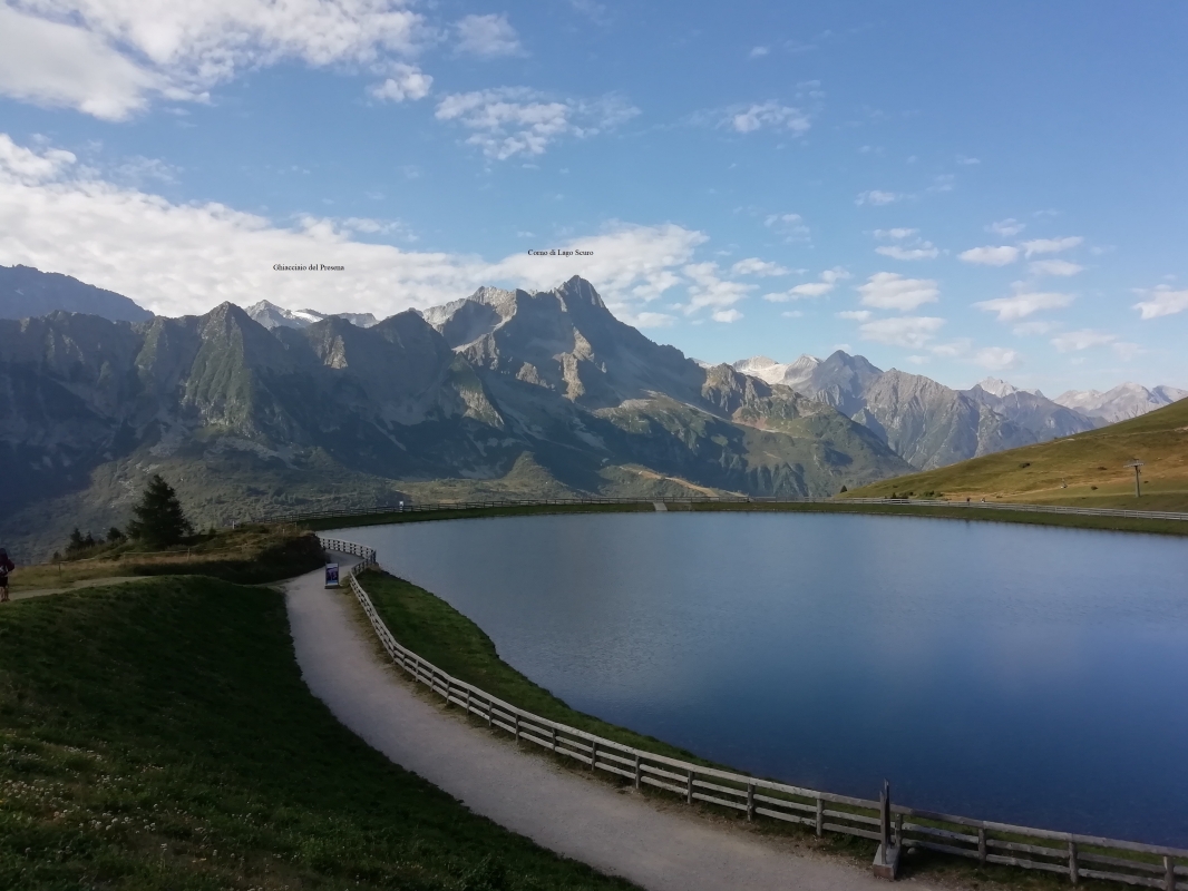 Tonale - Pian Palù