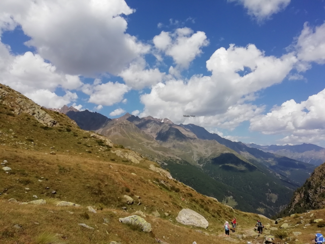 Tonale - Pian Palù