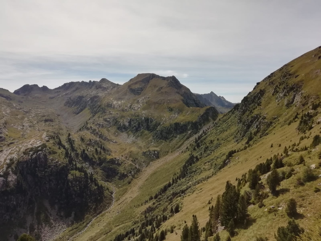 Alpe del Cermis