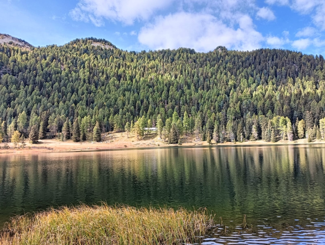 Laghi Campiglio 13