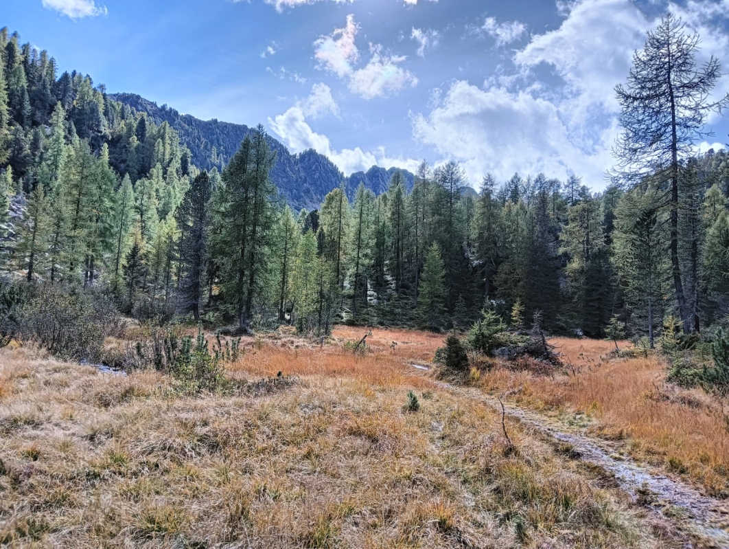 Laghi Campiglio 29